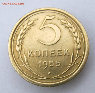 5 копеек 1955 г. до 3.11 в 22-00. - IMG_9535.JPG