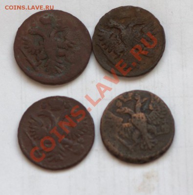 4 денги до 21-00 17 марта - IMG_3745.CR2