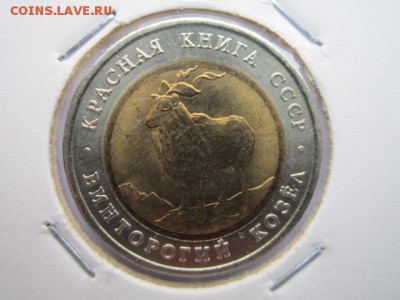КК 91 Козел (aUNC) холдер до 05.11.2017 в 22:30 - IMG_6757.JPG