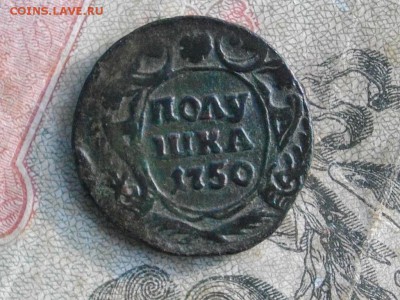 Полушка 1735 1738 1750 до 03 11 17 22-00 мск - IMGP5768.JPG