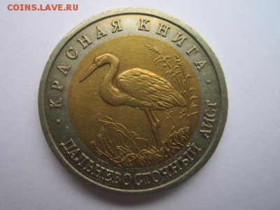 КК 93 Аист до 05.11.2017 в 22:30 - IMG_6766.JPG