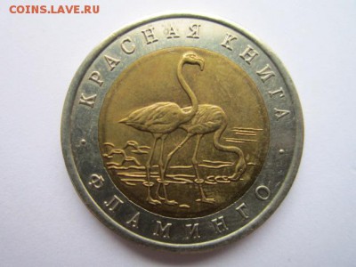 КК 94 Фламинго до 05.11.2017 в 22:30 - IMG_6772.JPG