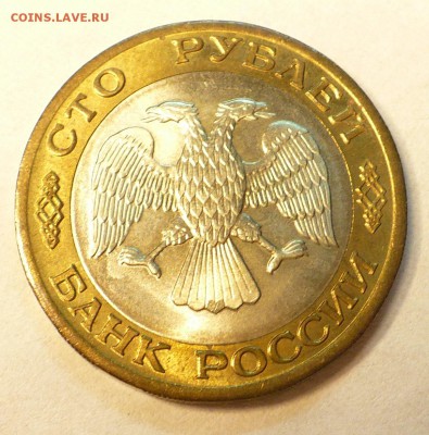 11-22:00 - 100-92.JPG