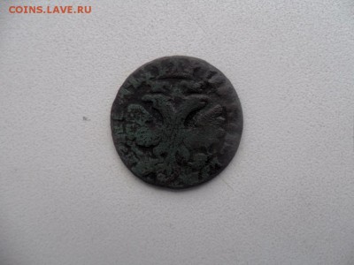 Деньга 1704 г - SAM_6894.JPG