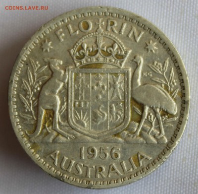 С 1 РУБ. АВСТРАЛИЯ флорин 1956г.ЕЛИЗАВЕТА-II до 7.11 в 22-00 - IMG_8368.JPG