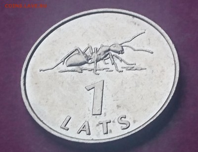 1 ЛАТ 2011  МУРАВЕЙ до 7.11.17 _ 22:10 МСК - DSC_1521.JPG