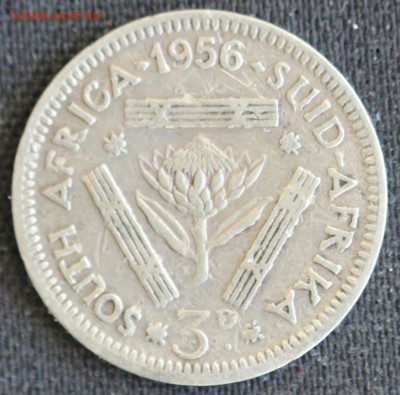 С 1 РУБ. БРИТ.ЮЖНАЯ АФРИКА  3 пенса 1956г. до 8.11 в 22-00 - IMG_9422.JPG