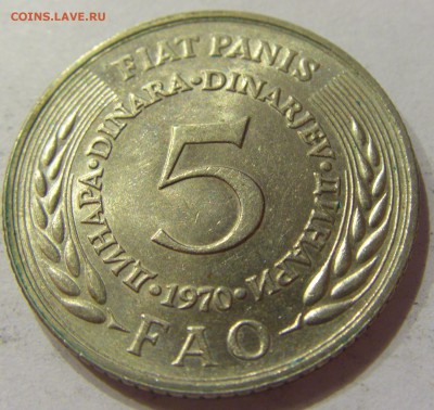 5 динар 1970 ФАО Югославия №1 10.11.2017 22:00 МСК - CIMG8629.JPG