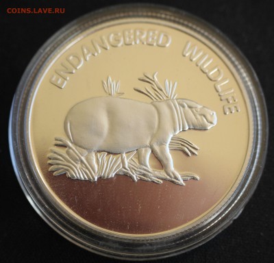 С 1 РУБ. МАЛАВИ 10 KWACHA 2005г. ГИППОПОТАМ  ПРУФ до 10.11 - IMG_9452.JPG