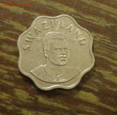 СВАЗИЛЕНД - 10ц ТРОСТНИК волнистая 2005 до 10.11, 22.00 - Свазиленд 10 ц тростник