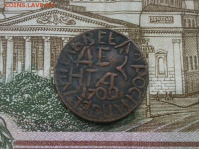 полушка Петра 1 1700 год оценка - IMG_20171105_123317