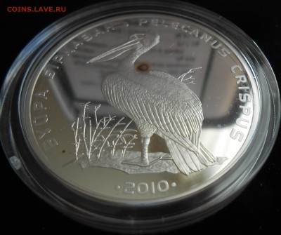Казахстан 500 тенге, 2010 год. Кудрявый пеликан - DSCN3262.JPG