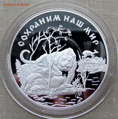 25 рублей 1996 года. Амурский тигр. Ag. До 09.11.17 22-00 - IMG_1909.JPG