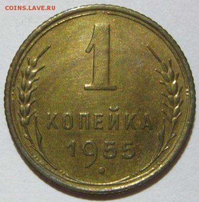 1 копейка 1955 года до 07.11 - 1-1955-1