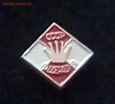 Шахматные значки! - IMG_20171106_095121_590.JPG