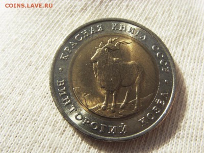 Красная Книга- Козел 1991 до 12.11.17 г. - SDC15740.JPG