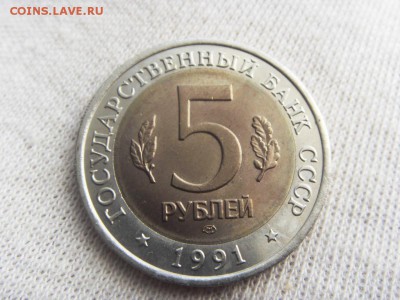 Красная Книга- Филин 1991 до 12.11.17 г. - SDC15732.JPG