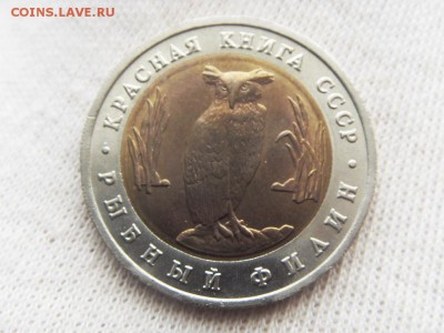 Красная Книга- Филин 1991 до 12.11.17 г. - SDC15728.JPG