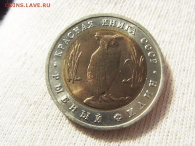 Красная Книга- Филин 1991 до 12.11.17 г. - SDC15729.JPG