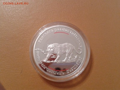 100 драм 2007г. Армения - Пантера  серебро - 2017-11-06 20.19.35
