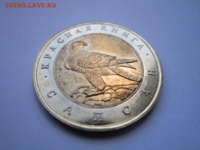 КК 94 Сапсан (aUNC) 50 руб. до 12.11.2017 в 22:30 - IMG_6934.JPG