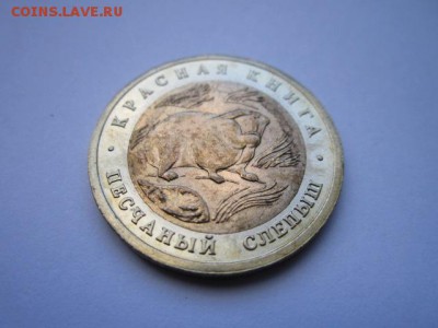 КК 94 Слепыш (aUNC) 50 руб. до 12.11.2017 в 22:30 - IMG_6942.JPG