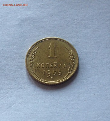 1 копейка 1955г. , до 13.11.17г. - 155-2