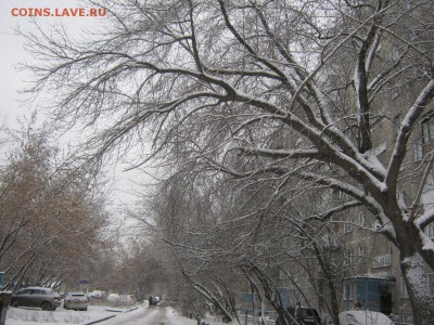 Стихи на заданную тему - IMG_4175[2].JPG