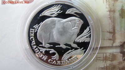 1 рубль "Песчаный Слепыш" 1996 года - IMG_7335.JPG