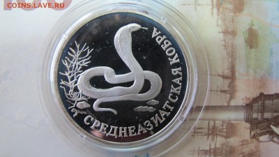 1 рубль "Кобра" 1996 года - IMG_7330.JPG