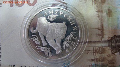 1 рубль "Амурский тигр" 1996 года - IMG_7332.JPG
