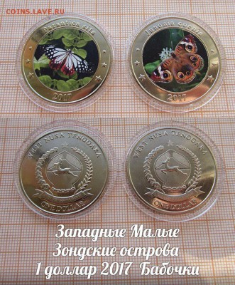 Зондские острова 1 доллар 2017 Бабочки Цвет. 2шт. До 9.11. - GQJTrGj4fZ8