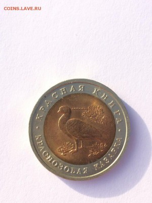 Красная книга 91-94 ЯРКИЙ ШТЕМПЕЛЬНЫЙ БЛЕСК с 200 до 14.11 - 1992 Казарка Реверс.JPG