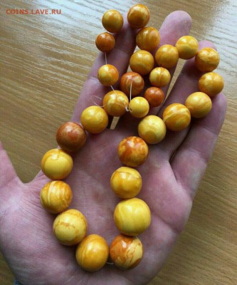 Куплю- Янтарь,Будды,Коралл, - IMG_20170918_153924