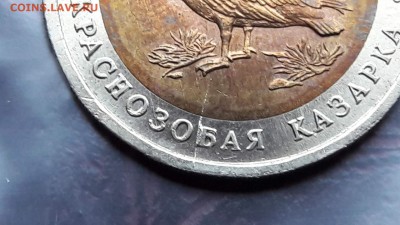 N13. Казарка раскол не большой. До 15.11 - IMG_20171107_190504_32