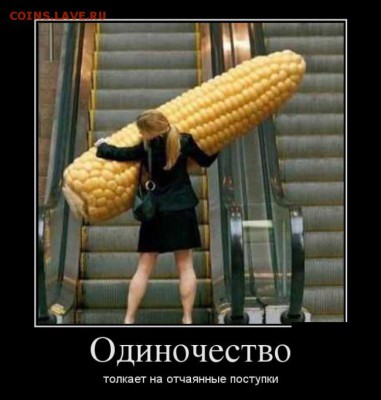 юмор - бб