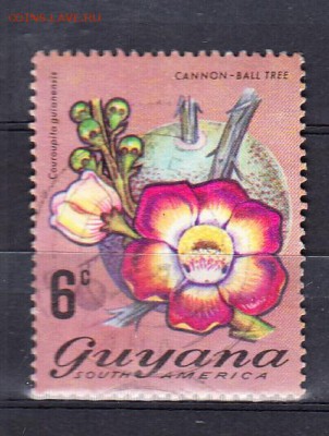 Гвиана 1м - 84