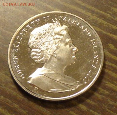 Фолклендские о-ва - КАЛЬМАР до 17.11, 22.00 - Фолклендские о-ва кальмар - 2