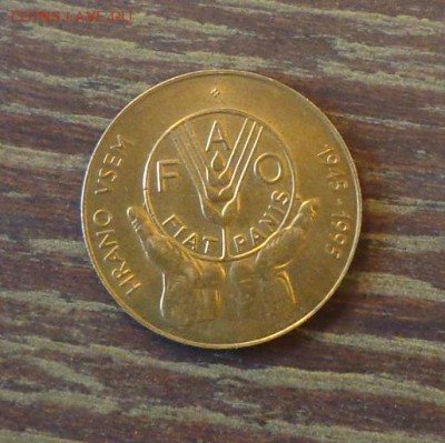 СЛОВЕНИЯ - ФАО до 17.11, 22.00 - Словения ФАО