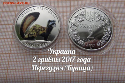 Украина 2 гривны 2017 Перегузня(Куница) Цветные. До 11.11. - э