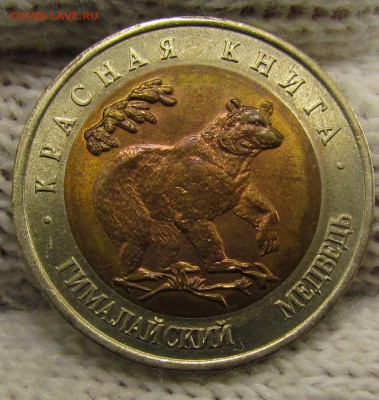 К.К.93г 50 рублей Медведь с 200р. до 16.11.2017г.в22:00 мск - IMG_8433.JPG