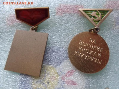 Комсомол: ЦК Лауреат ННТМ +за кукурузу  до 21-30 мск 16.11 - DSC03839.JPG