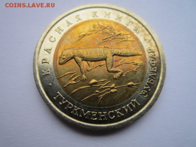 КК 93 Зублефар  50 руб. до 19.11.2017 в 22:30 - IMG_7126.JPG