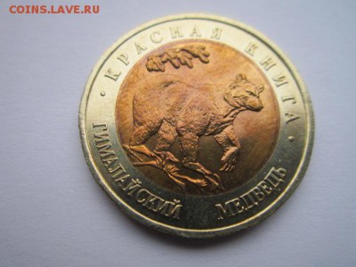 КК 93 Медведь (aUNC) 50 руб. до 19.11.2017 в 22:30 - IMG_7134.JPG