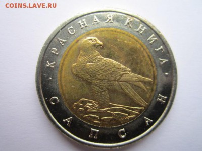 КК 94 Сапсан (aUNC) 50 руб. до 19.11.2017 в 22:30 - IMG_7149.JPG
