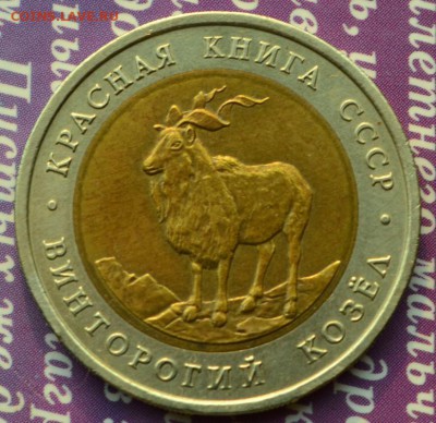 КК 1991 винторогий козёл до 15.11 в 22:30 - козел а