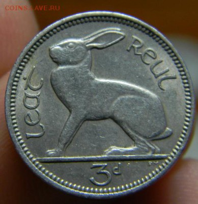 Ирландия 3 пенса 1966 - DSCN1697.JPG