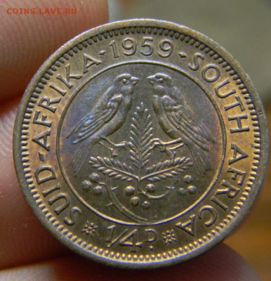 ЮАР фартинг 1959 - DSCN1707.JPG