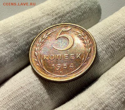 5 копеек 1954 г. Штемпельный блеск - IMG_5832
