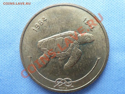 Мальдивы 50 laari, МОРСКАЯ ЧЕРЕПАХА до 22.03.11 в 22-00 - MEMO0018.JPG
